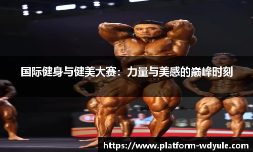 国际健身与健美大赛：力量与美感的巅峰时刻