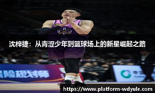 问鼎娱乐